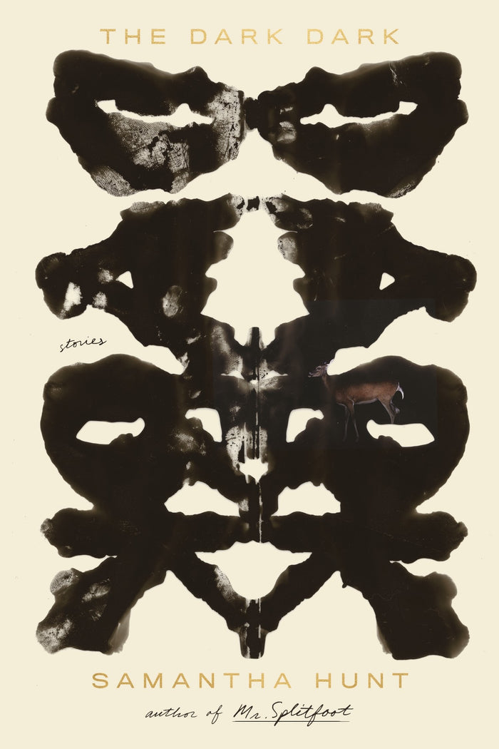 The Dark Dark: Stories by Samantha Hunt - Paperback cover