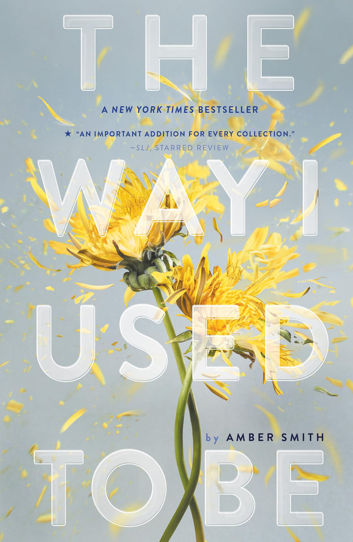 The Way I Used to Be by Amber Smith - Paperback cover