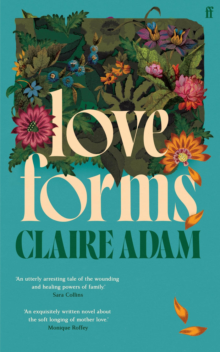 Love Forms: 'Reads like a Claire Keegan short story expanded by Elizabeth Strout.' THE TIMES by Claire Adam - Paperback cover