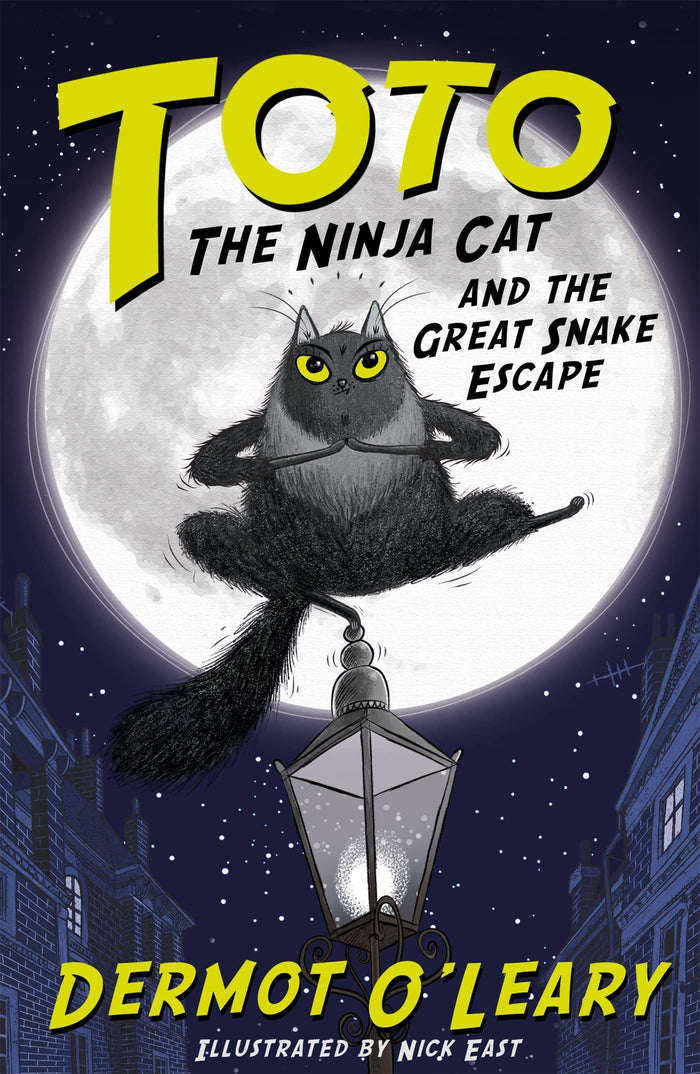 Toto Ninja Cat & Great Snake Escape by Dermot O'Leary - Paperback cover