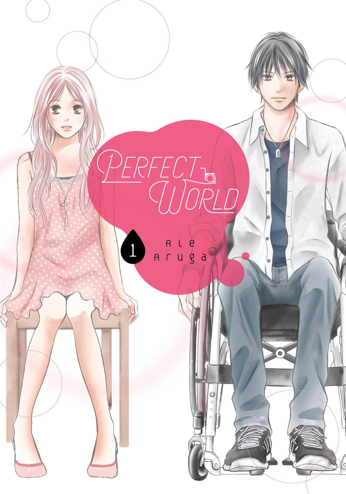 Perfect World 1 by Rie Aruga - Paperback cover