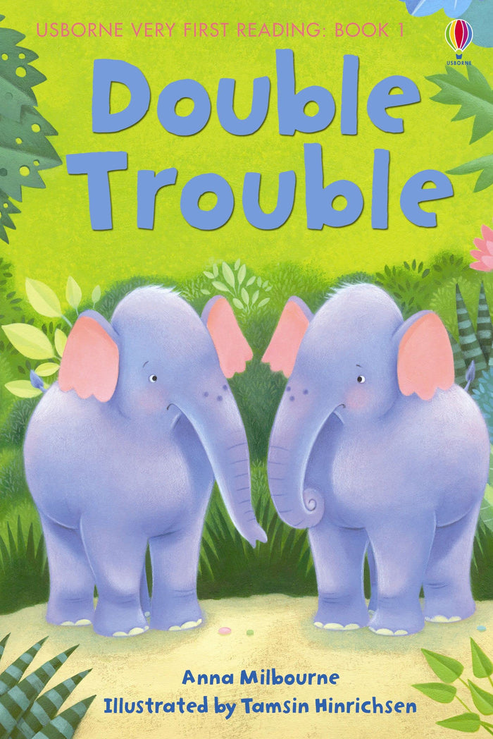 Double Trouble by Anna Milbourne - Hardcover cover