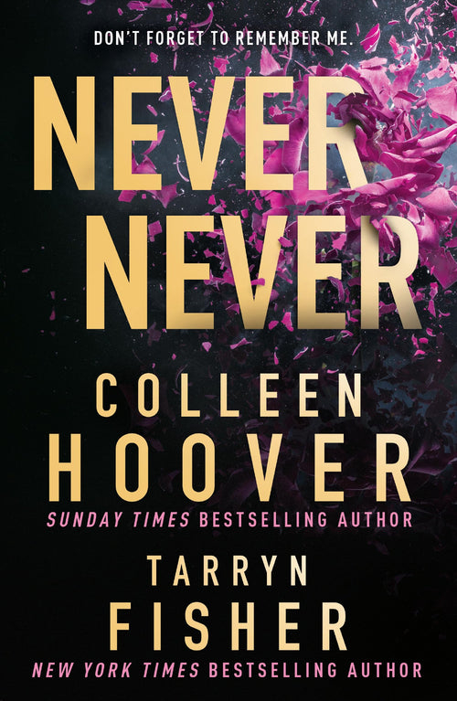 Never Never: TikTok made me buy it! by Colleen Hoover - Paperback cover