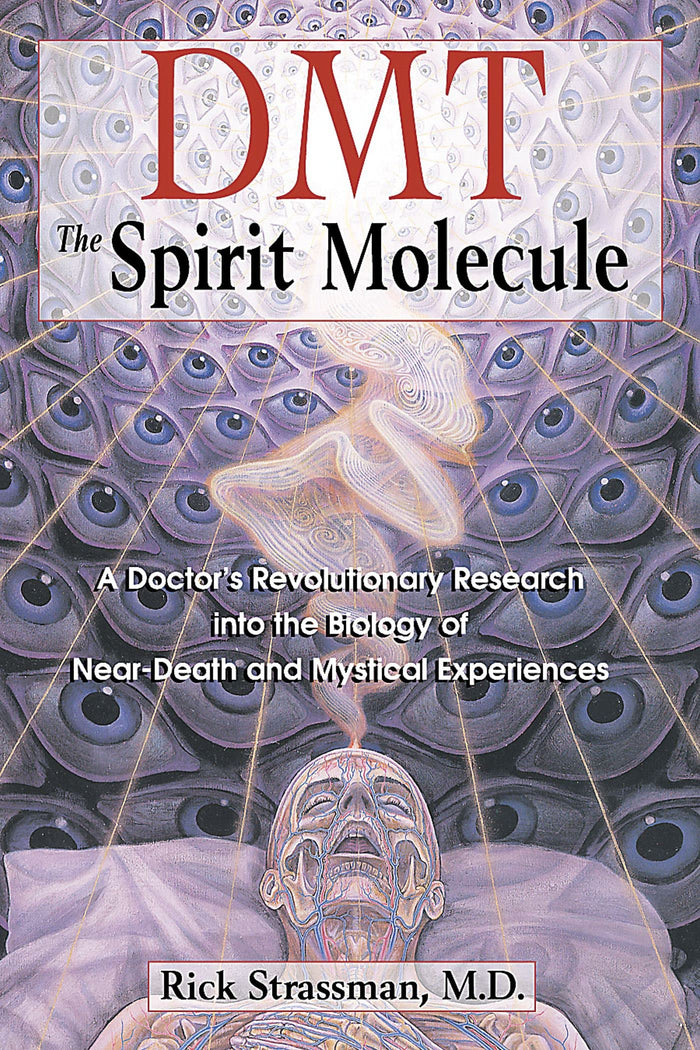 DMT: The Spirit Molecule: A Doctor's Revolutionary Research into the Biology of Near-Death and Mystical Experiences by Rick Strassman - Paperback cover