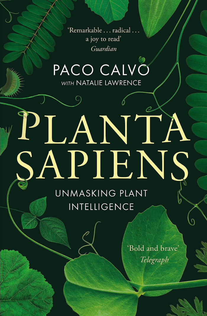 Planta Sapiens: Unmasking Plant Intelligence by Natalie Lawrence - Paperback cover
