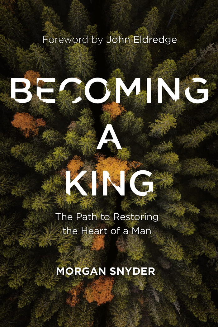 Becoming a King: The Path to Restoring the Heart of a Man by Morgan Snyder - Paperback cover