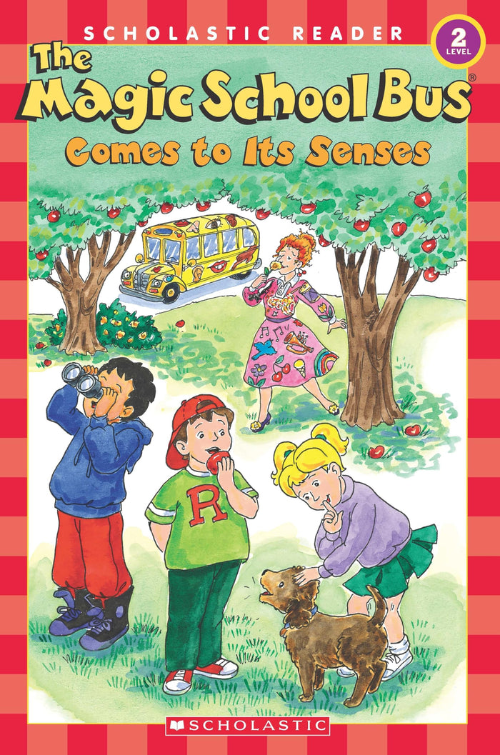 Msb: Comes To Its Senses by contributor - Paperback cover