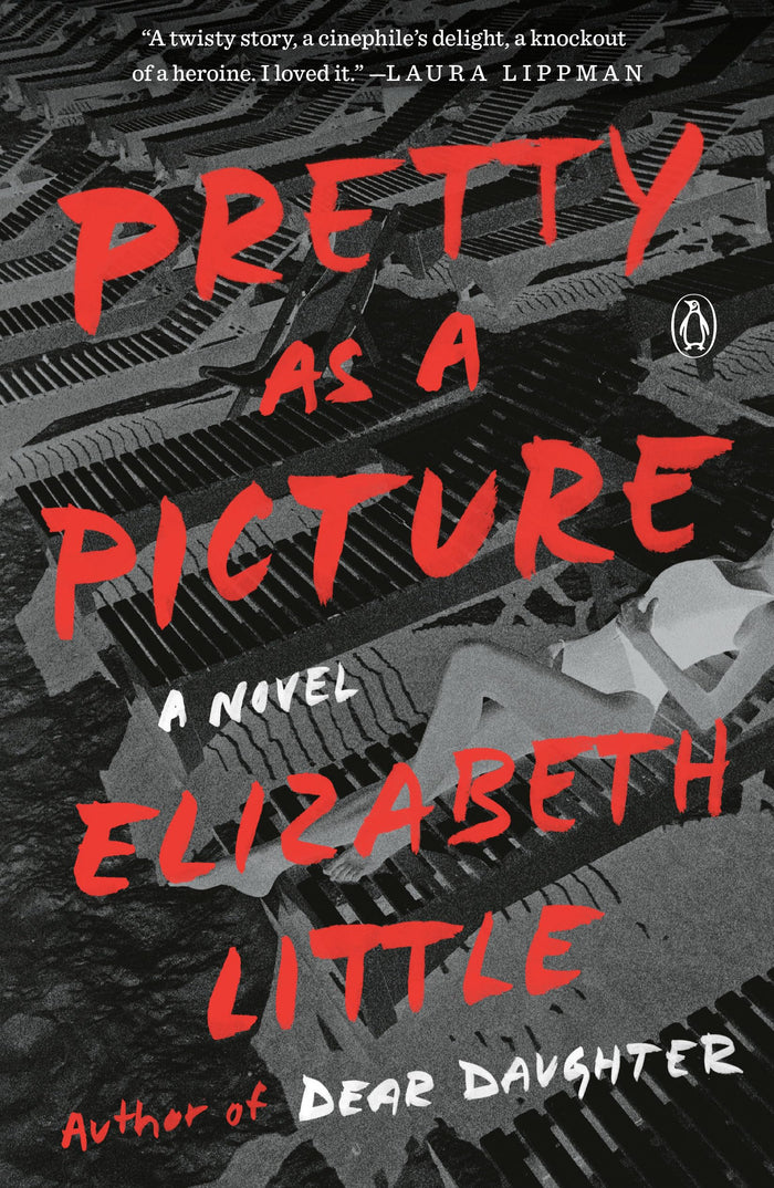 Pretty as a Picture: A Novel by Elizabeth Little - Paperback cover