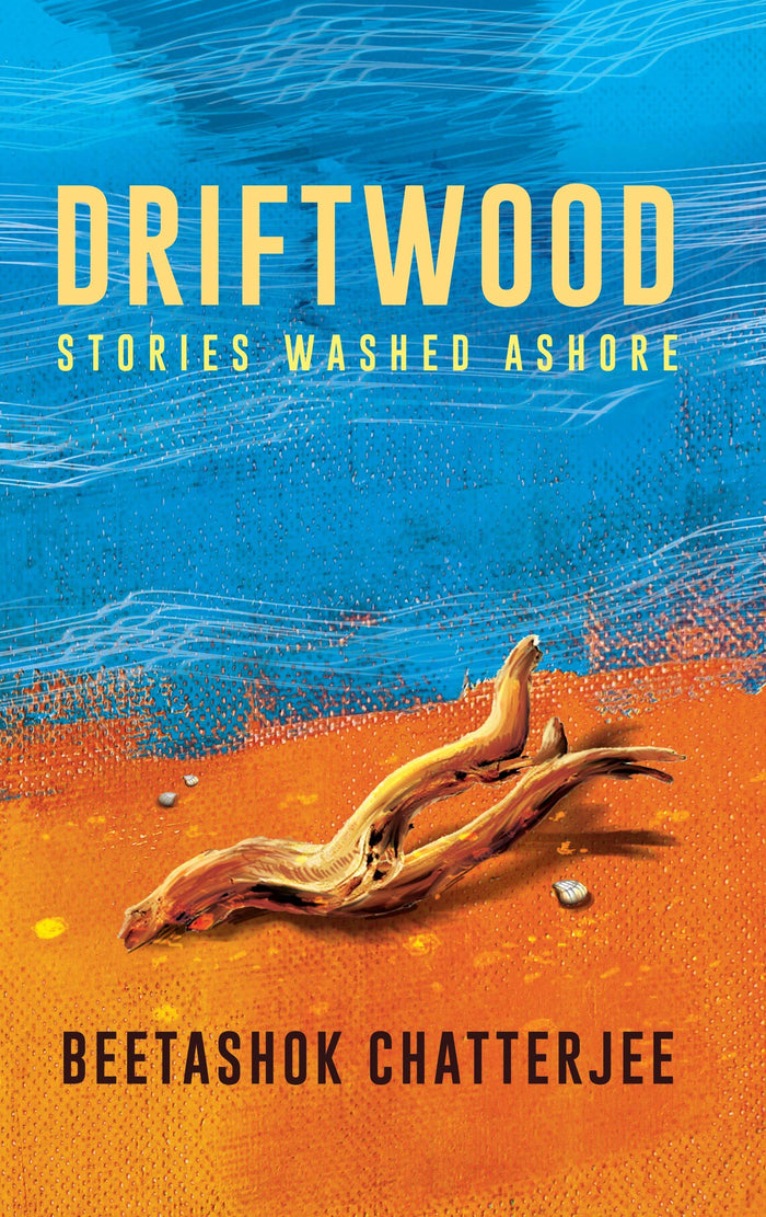 Driftwood: Stories Washed Ashore by Beetashok Chatterjee - Paperback cover