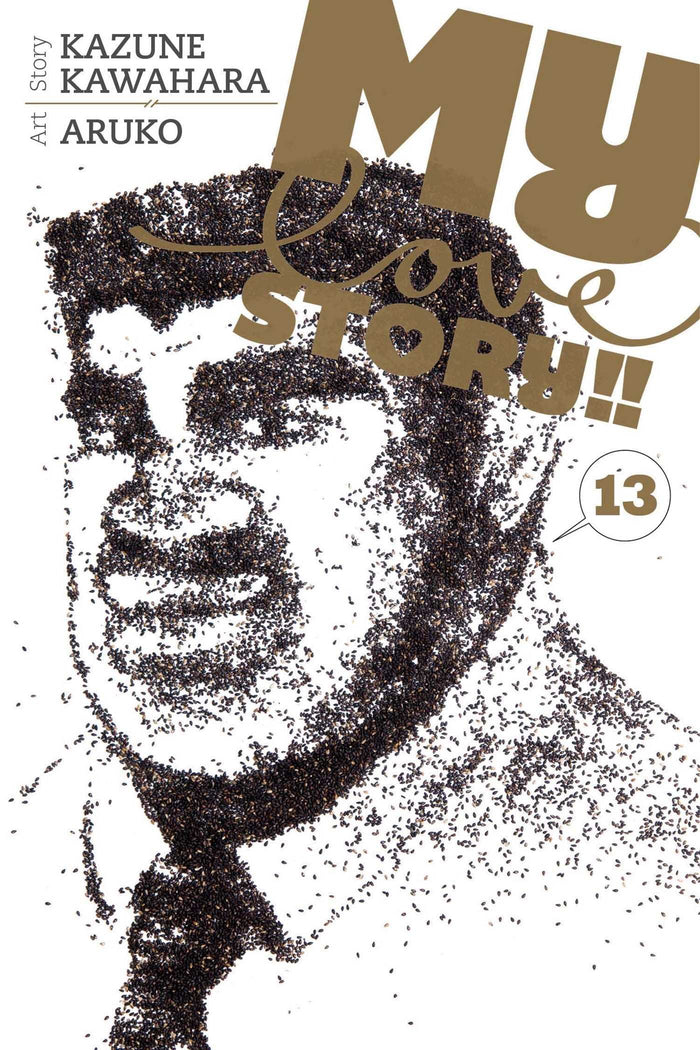 My Love Story!!, Vol. 13 by Kazune Kawahara - Paperback cover