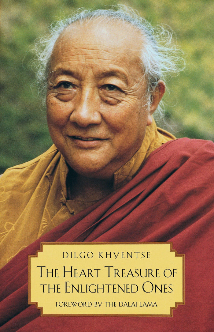 The Heart Treasure of the Enlightened Ones: The Practice of View, Meditation, and Action: A Discourse Virtuous in the Beginning, Middle, and End by Patrul Rinpoche - Paperback cover