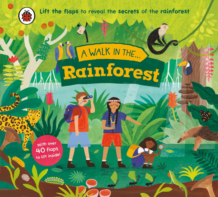 Ladybird A Walk in the Rainforest. by Nora Dare - Board Book cover