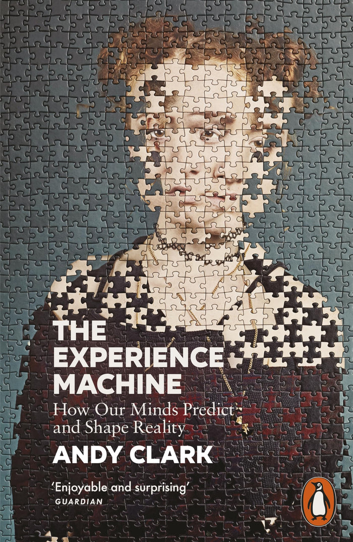 The Experience Machine: How Our Minds Predict and Shape Reality by Andy Clark - Paperback cover