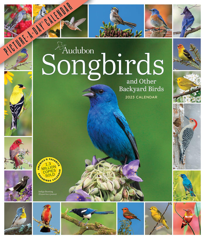 Audubon Songbirds and Other Backyard Birds Picture-A-Day Wall Calendar 2023: A Beautiful Bird Filled Way to Keep Track of 2023 by National Audubon Society - Calendar cover