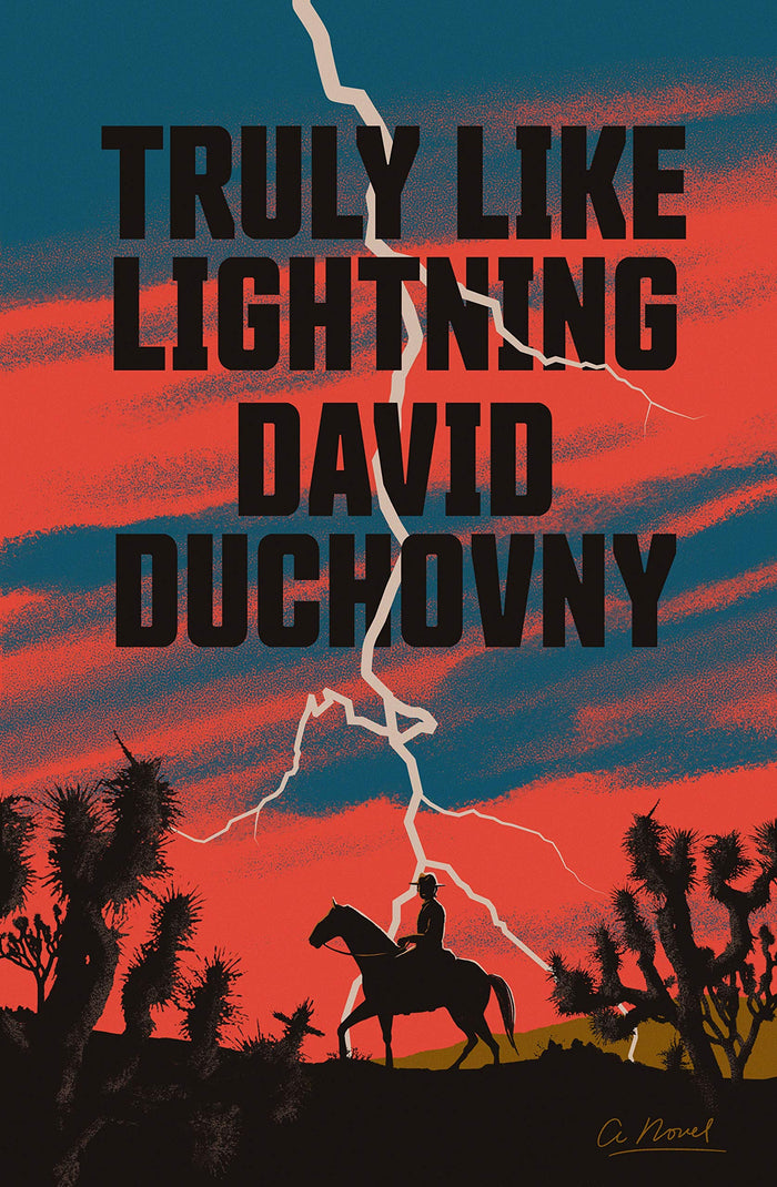 Truly Like Lightning: A Novel by David Duchovny - Hardcover cover
