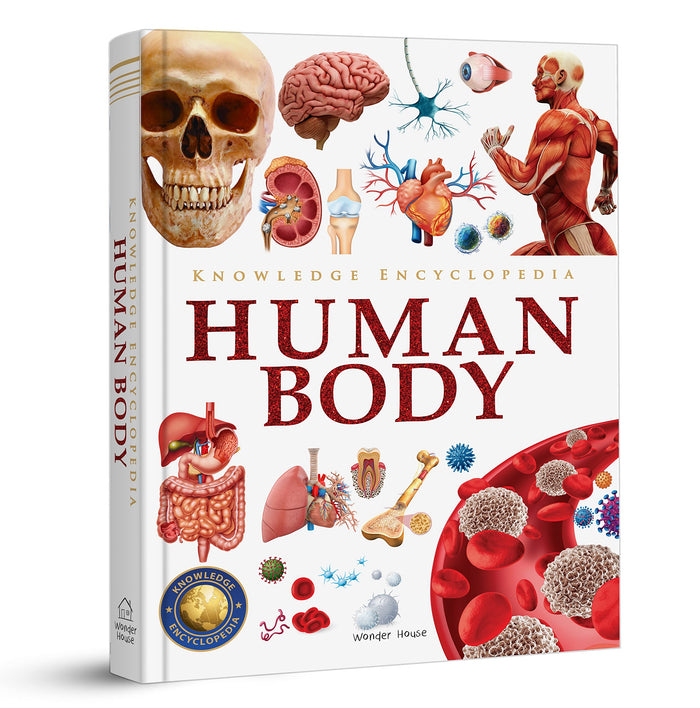 Knowledge Encyclopedia Human Body (Knowledge Encyclopedia For Children) by Wonder House Books - Hardcover cover