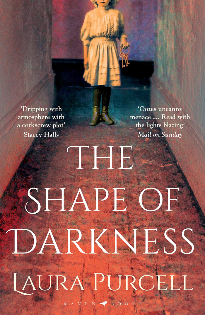 The Shape of Darkness by Purcell Laura - Paperback cover