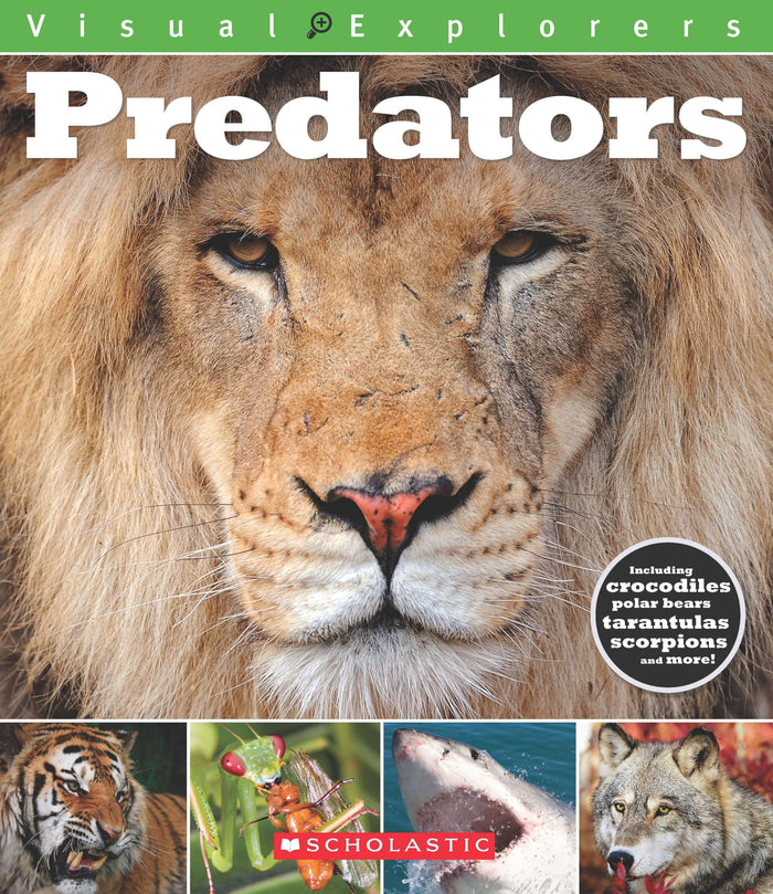 Visual Explorers: Predators by Toby Reynolds - Paperback cover