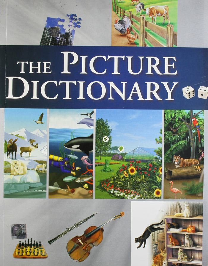Picture Dictionary,1Ed by Huizenga - Paperback cover