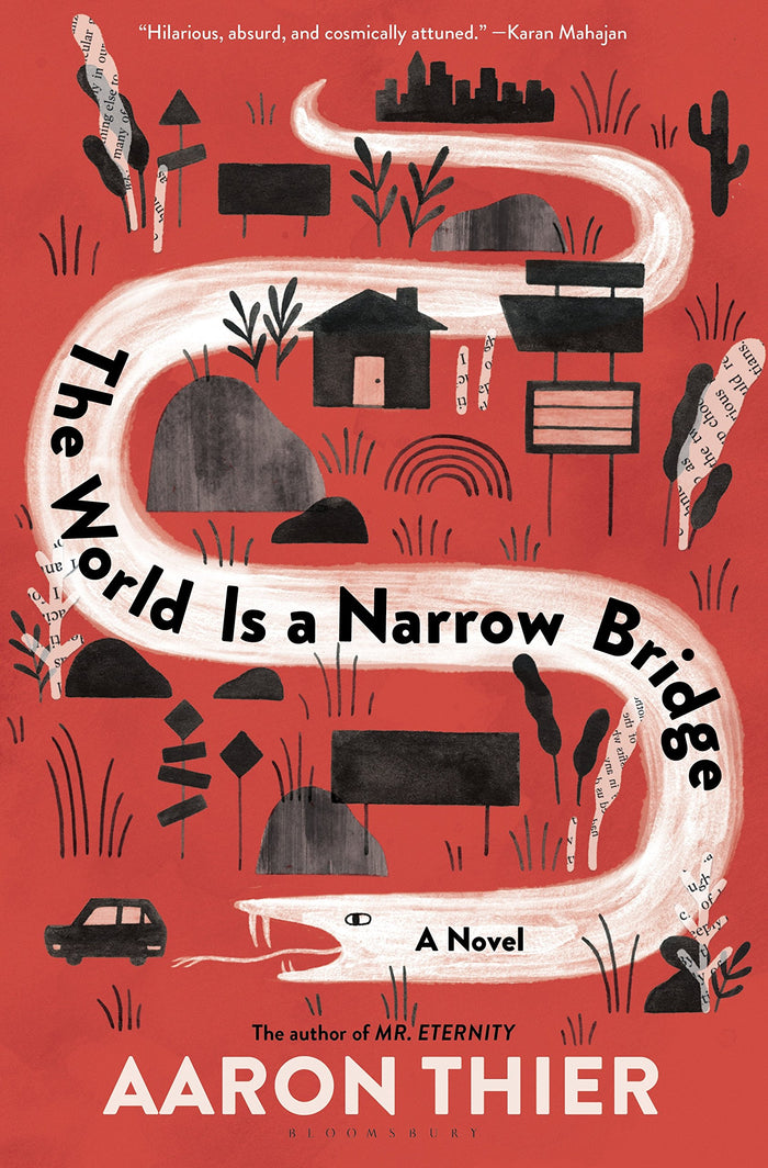 The World Is a Narrow Bridge by Aaron Thier - Hardcover cover