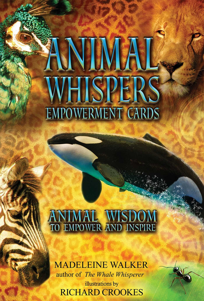 Animal Whispers Empowerment Cards: Animal Wisdom to Empower and Inspire by Madeleine Walker - Cards cover