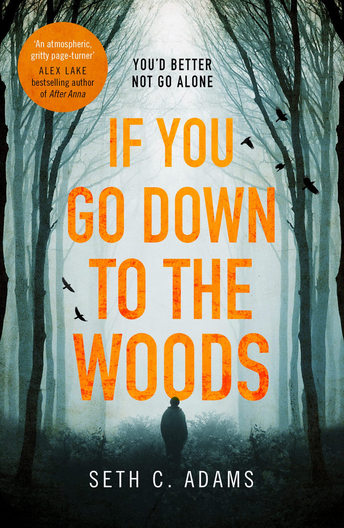 If You Go Down to the Woods by Seth C. Adams - Paperback cover