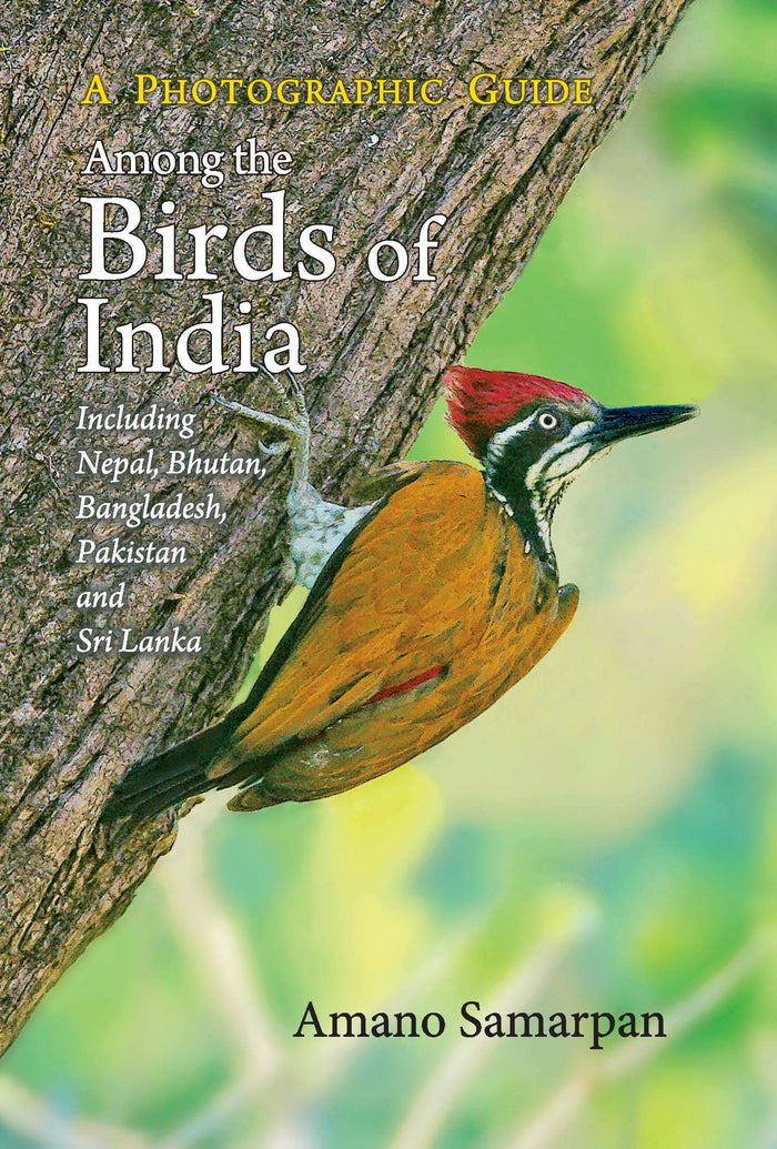 Among the Birds of India by Amano Samarpan - Paperback cover