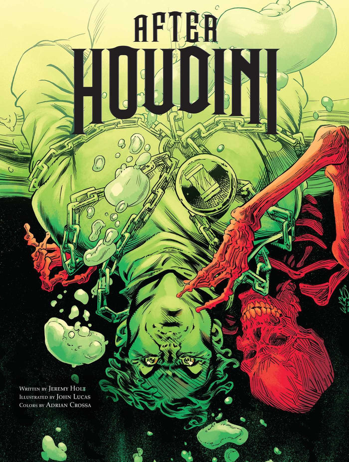 After Houdini by Jeremy Holt - Paperback cover