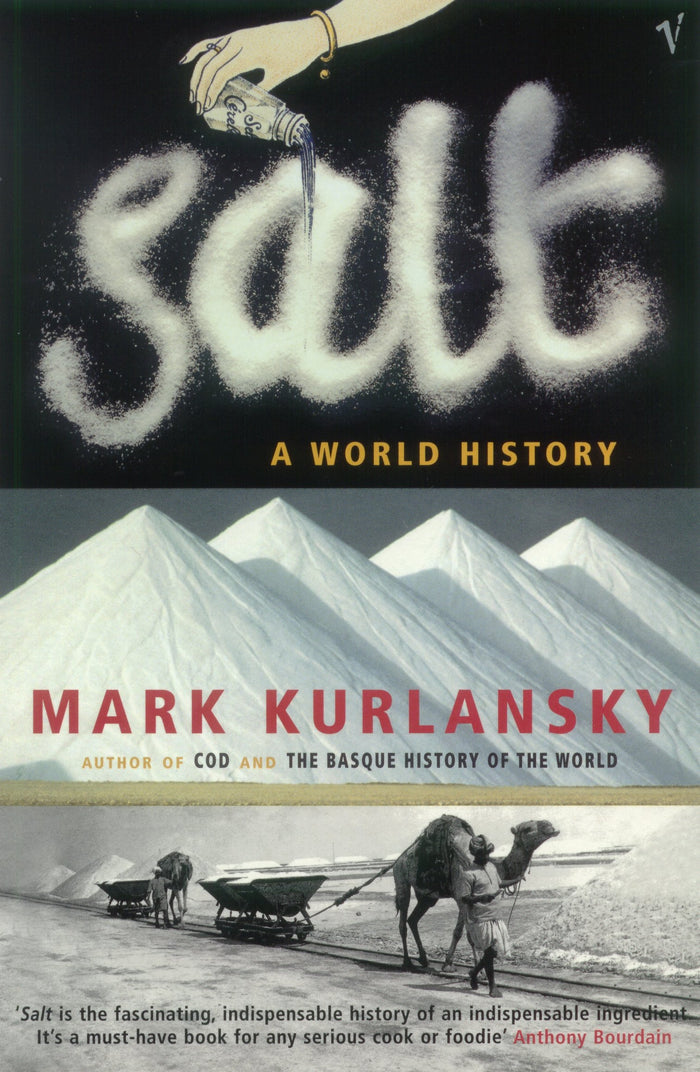 Salt : A World History by Mark Kurlansky - Paperback cover
