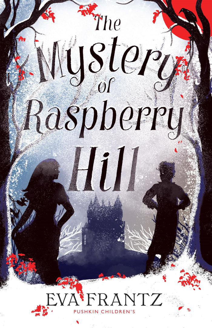 The Mystery of Raspberry Hill by Eva Frantz - Paperback cover