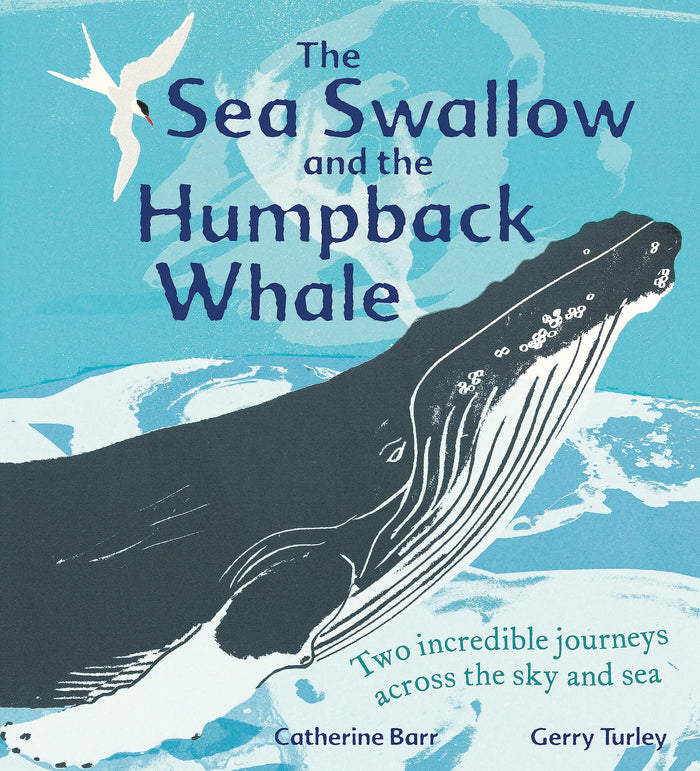 The Sea Swallow and the Humpback Whale: Two Incredible Journeys Across the Sky and Sea by Catherine Barr - Paperback cover