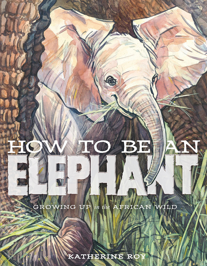 How to Be an Elephant by Katherine Roy - Hardcover cover