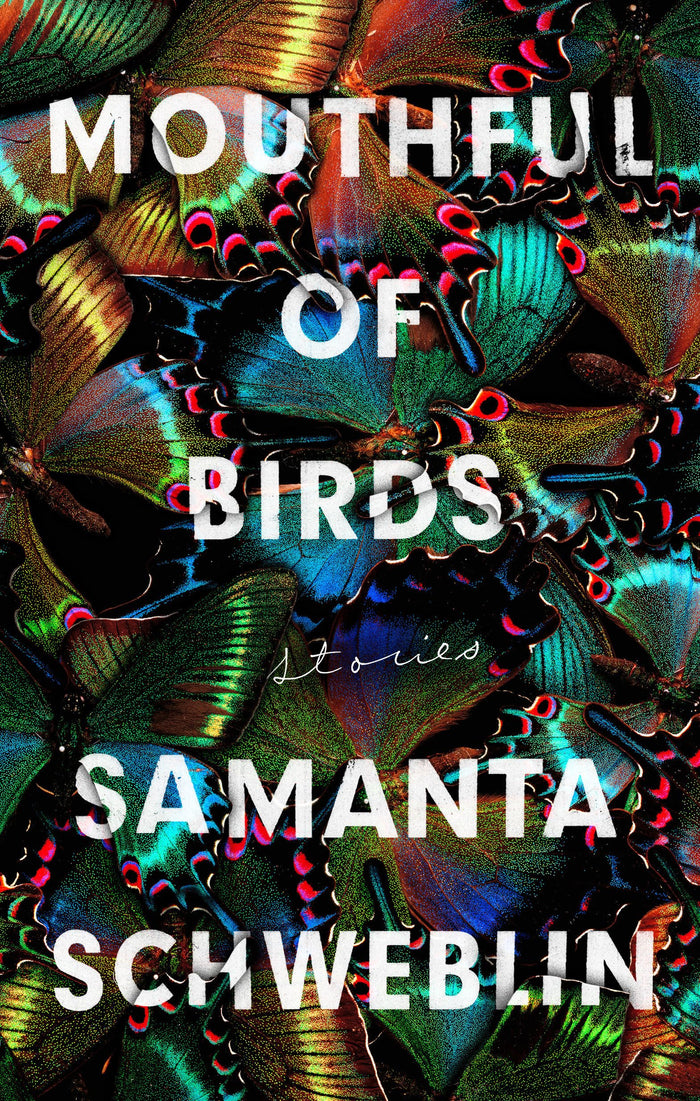 Mouthful of Birds: Stories by Samanta Schweblin - Hardcover cover