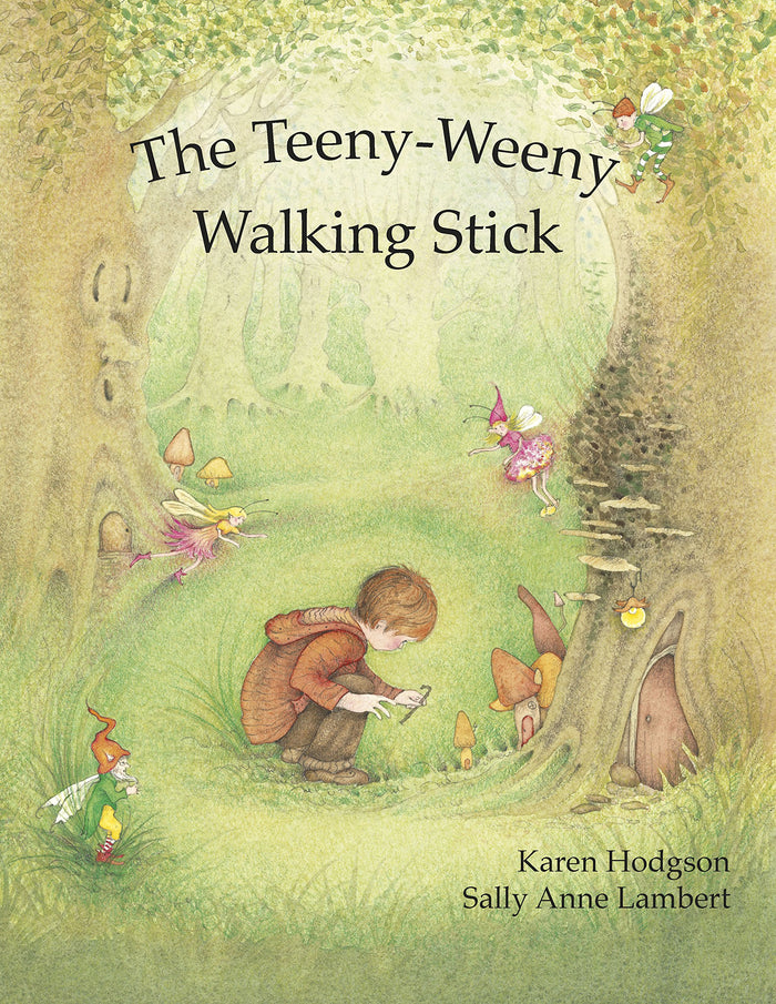 The Teeny-Weeny Walking Stick by Karen Hodgson - Paperback cover