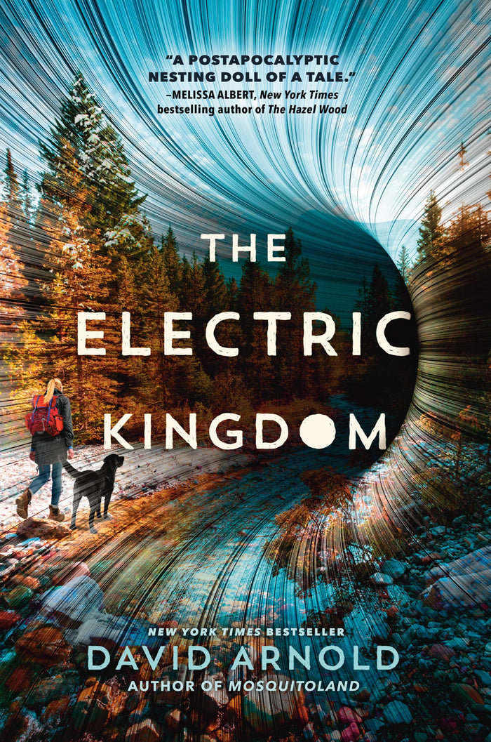 The Electric Kingdom by David Arnold - Hardcover cover